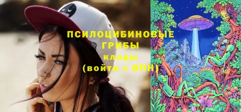 Галлюциногенные грибы Psilocybe  Крым 